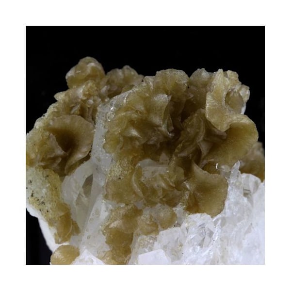 Siderite + Quartz 402,1 karat Flerfärgad