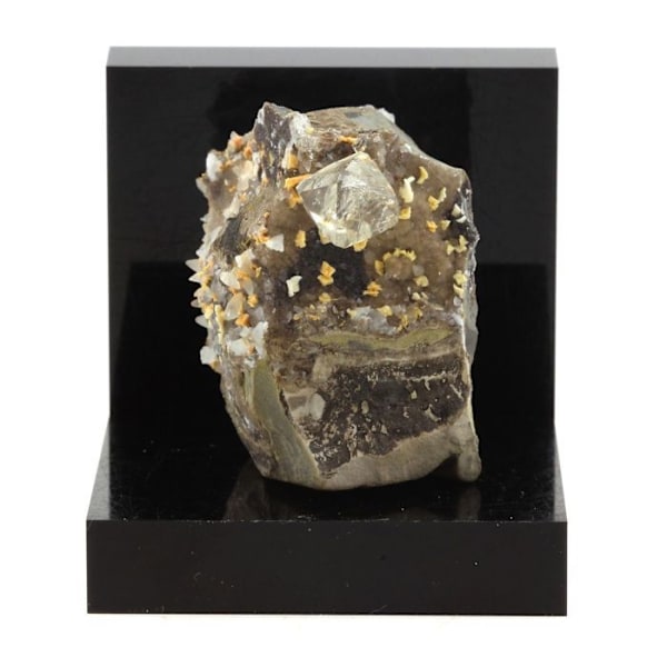 Stenar och mineraler. Septaria, diamantkvarts. 282,8 cent. Ribiers, Hautes-Alpes, Frankrike. Sällsynt.