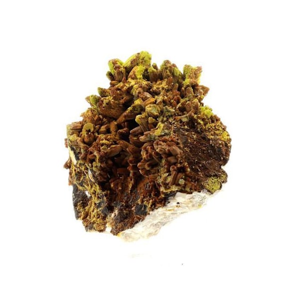 Sten og mineraler. Pyromorphit. 2222,5 øre. Les Farges Mine, Ussel, Frankrig..