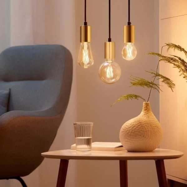 WiZ startsæt 2 tilsluttede Edison hvide variable pærer E27 50W + bærbar lysdæmper fjernbetjening