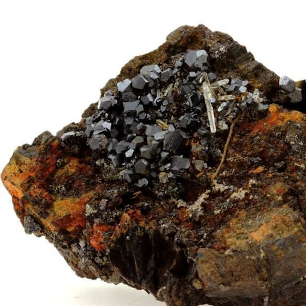 Siderit, Pyrit, Quartz 513,1 karat Flerfärgad