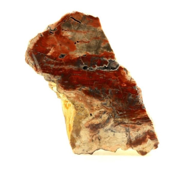 Sten og mineraler. Forstenet træ. 2402,0 ct. Cherry Creek, White Pine Co, USA.