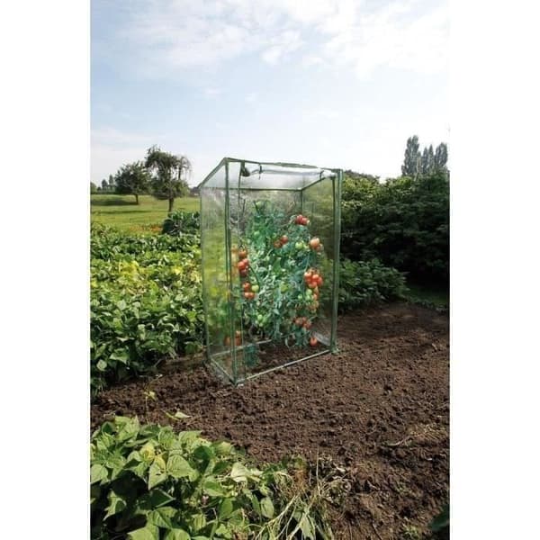 Natur Tomat drivhus 100x50x150 cm Vit