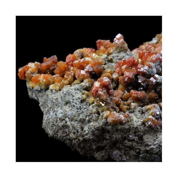 Sten og mineraler. Vanadinit. 1009,5 øre. Mibladen Mining District, Midelt, Marokko.