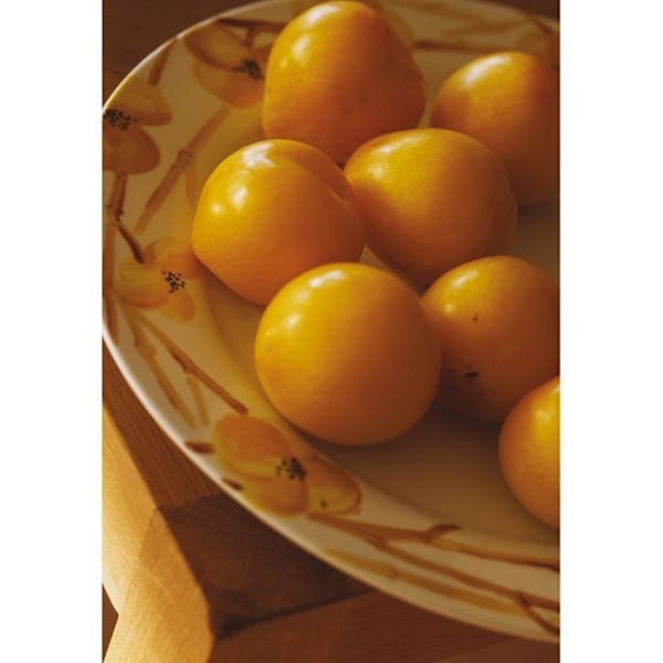 Porslinsfärg - Pébéo - 150 Glossy Amber N°36 - 45ml flaska - Strålande färger - Matlagning 150°C kastanj
