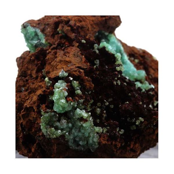 Sten og mineraler. Cuproadamit. 1354,0 øre. Ojuela Mine, Mapimí, Mexico.