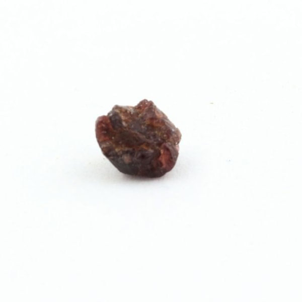 Stenar och mineraler. Granat. 0,339 cent. Skardu-området, Gilgit-Baltistan, Pakistan.