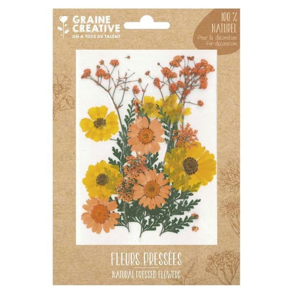 18 pressade blommor - gul äng Gul