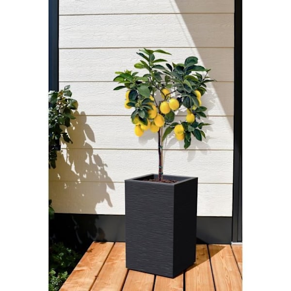 EDA Graphit Up Square High Flower Box - 36 L - 29,5 x 29,5 cm x 49,5 cm - Antracitgrå Kolgrå