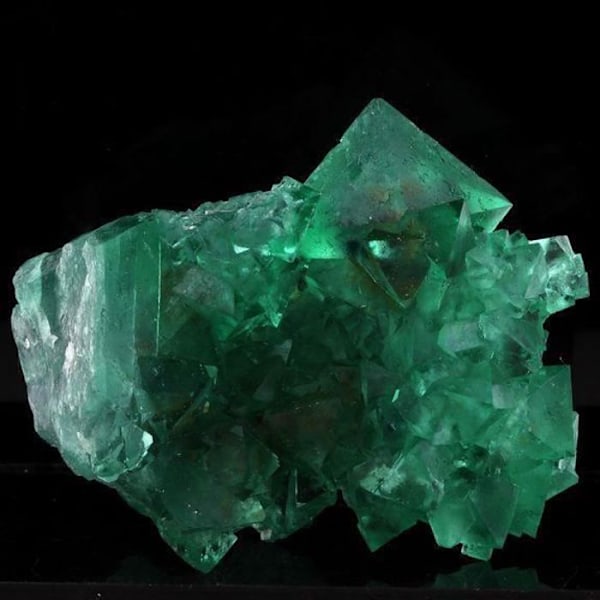 Fluorit - ABIJOUX - Riemvasmaak - 541,0 ct - Lila - Äkthetscertifikat