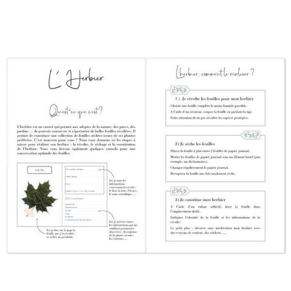 A5 Herbarium anteckningsbok - Draeger Paris
