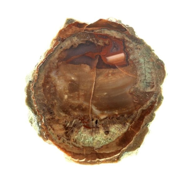 Kvarts - ABIJOUX - Litofyse - 195,5 ct - Esterel Massif, Var, Frankrig