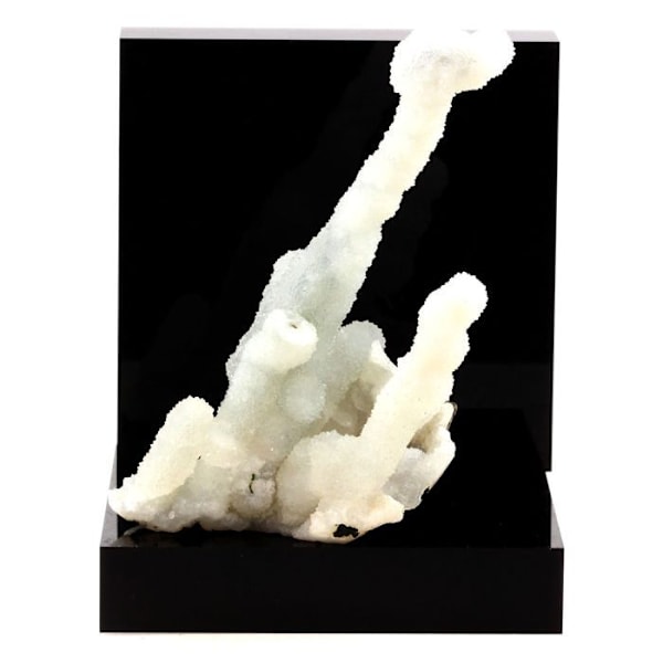 Calcédoine - ABIJOUX - 1005 ct - Kvarts - Grå - Jalgaon Distrikt, Maharashtra, Indien