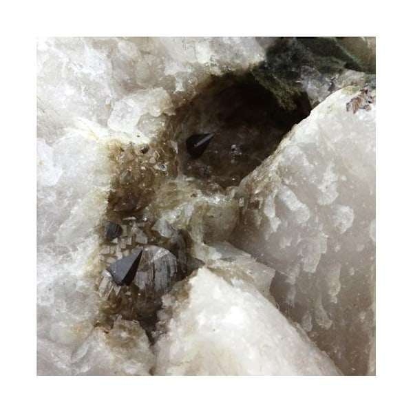 Sten og mineraler. Anatase. 1477,0 øre. La Maurienne Valley, Savoie, Frankrig..