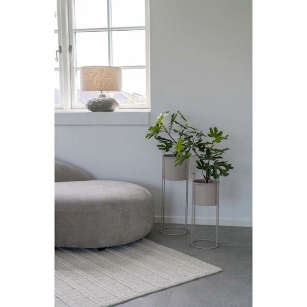 Set med 2 blomstöder i sandstål Grå