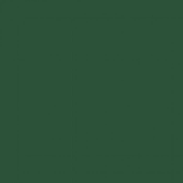 Akrylmaling - Pébéo - P.BO Déco - Grangrøn - Mat - 45ml Furugrön