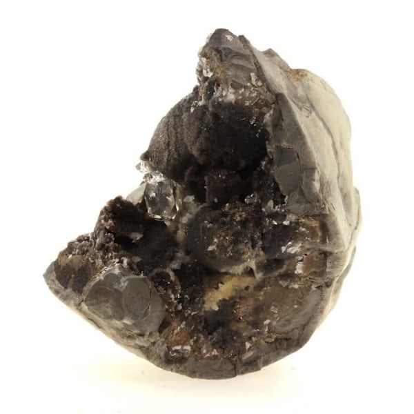 Kivet ja mineraalit - ABIJOUX - Septaria Quartz Diamond - 571,2 ct - Ribiers Hautes-Alpes France