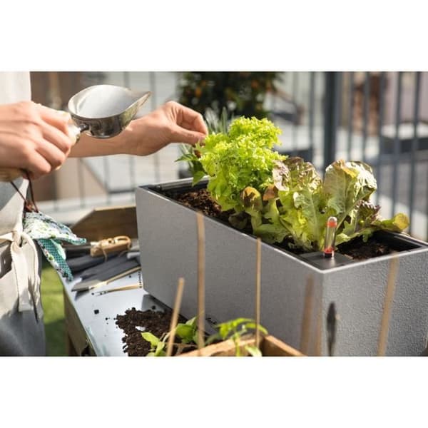 LECHUZA Altankasse BALCONERA Sten 50 ALL-IN-ONE Grå Grå sten
