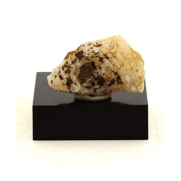Lussatite (Opal-CT) 39,94 karat