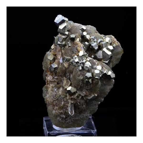 Sten og mineraler - ABIJOUX - Kvarts - Siderit - Pyrit - 168.0 ct - Mésage Mine, Vizille, Frankrig