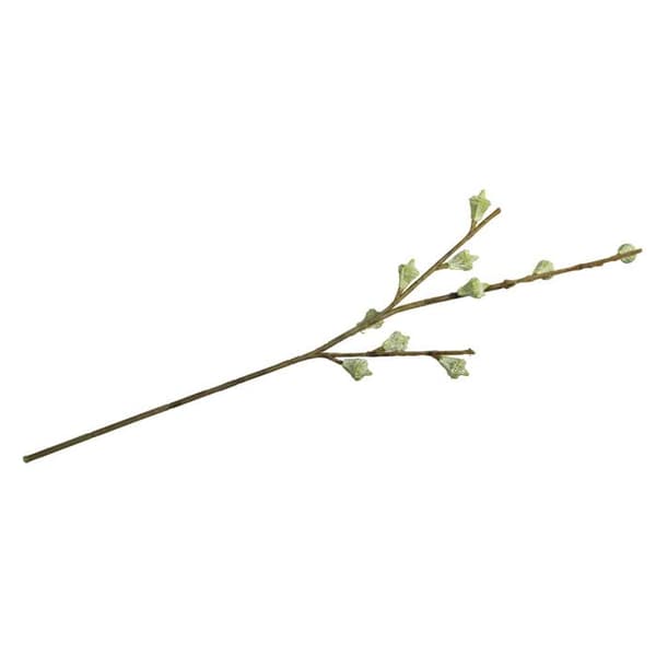 Eucalyptusfruktgren 40 cm Grön