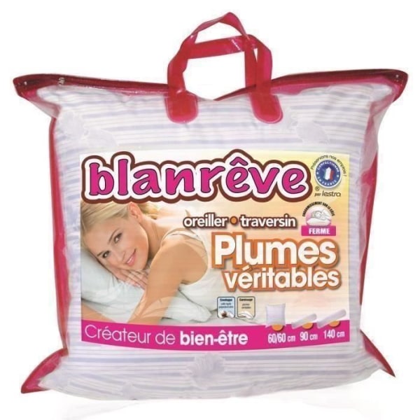 BLANREVE Fjerpude 60x60 cm hvid Vit