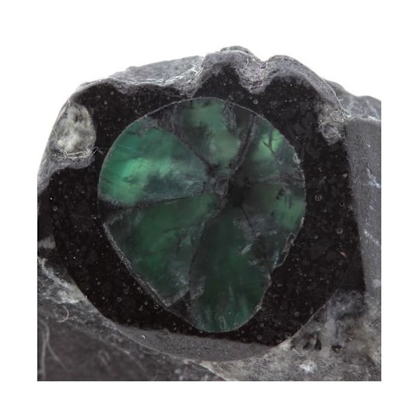 Trapiche Emerald 33,7 karaattia Grön