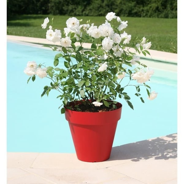 RIVIERA Soleilla blomsterpotte - Rund - Ø 49 x 44,8 cm - Rød Röd
