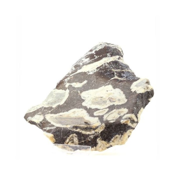 Sten og mineraler. Siderit. 7597,0 ct. Fond de France, La Ferrière, Isère, Frankrig.
