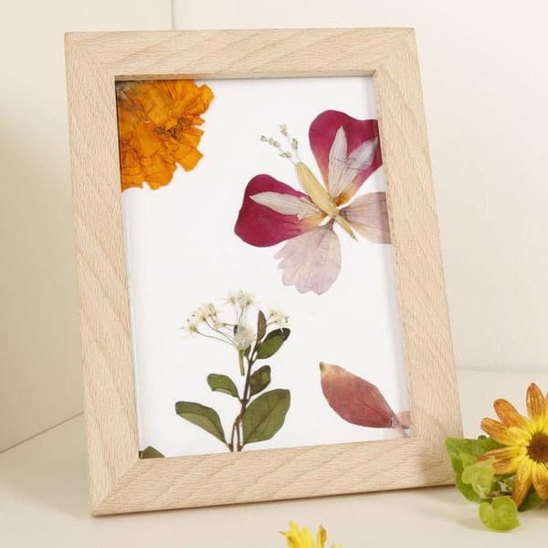 Ramar i trä för herbarium 13 x 17 cm beige