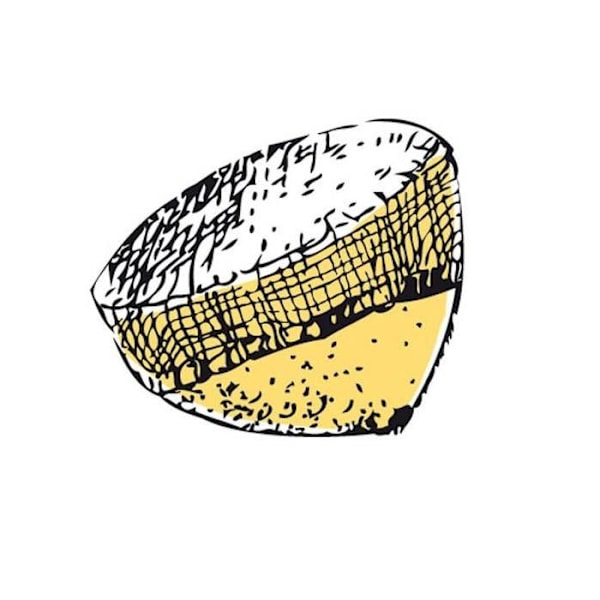 12 Fileter citronpressar