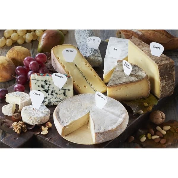 Marque-fromages - CHEVALIER DIFFUSION - x16 - Plast - Vit - 5 cm x 3,5 cm Vit