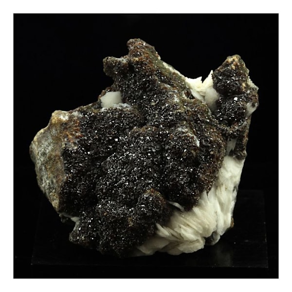 Sten og mineraler - ABIJOUX - Baryte + Sphalerite - Les Cèdres, Saint-Laurent-le-Minier, Occitanie, Frankrig