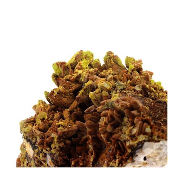 Sten og mineraler. Pyromorphit. 2222,5 øre. Les Farges Mine, Ussel, Frankrig..