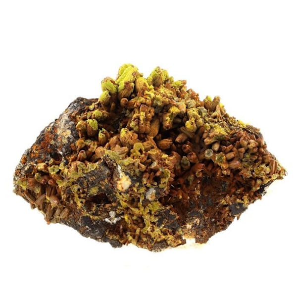 Sten og mineraler. Pyromorphit. 2222,5 øre. Les Farges Mine, Ussel, Frankrig..