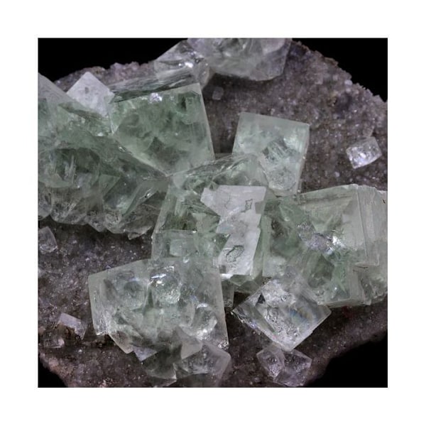 Sten og mineraler. Fluorit. 836,0 øre. Xianghualing, Chenzhou, Hunan, Kina..