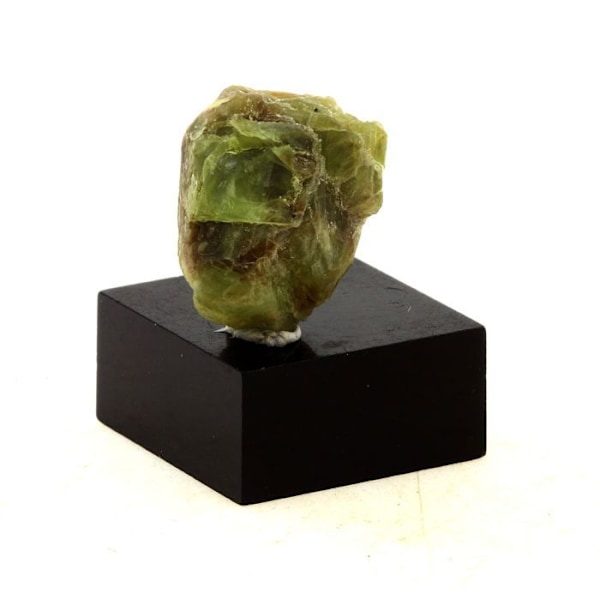 Stenar och mineraler. Peridot. 17,31 cent. Skardu-distriktet, Baltistan, Pakistan.