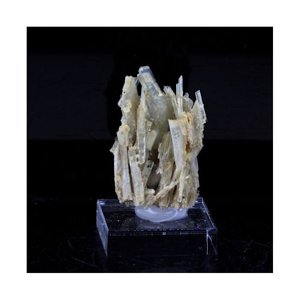 Sten og mineraler. Klinozoisit. 31,0 ct. Marine de Scala, Canari, Haute-Corse, Frankrig.