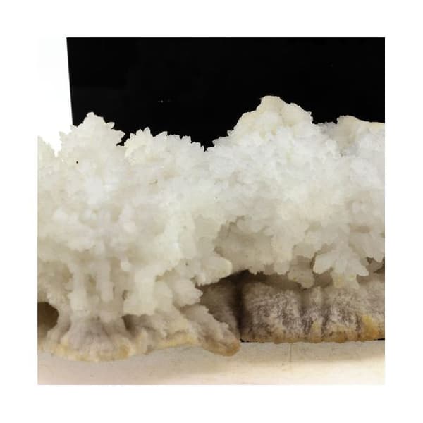 Sten og mineraler. Aragonit. 1356,0 ct. Mexico.