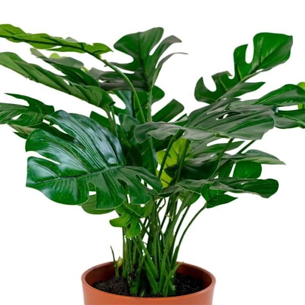 Keinotekoinen Monstera Deliciosa -kasvi - Vihreä - 45 cm - Helppohoitoinen - Nykyaikainen Grön