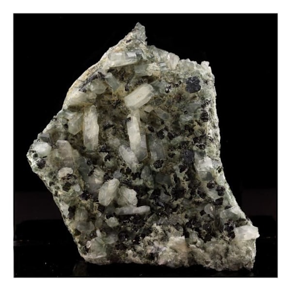 Sten og mineraler. Albite + Epidote. 1465,0 øre. Saint-Véran, Hautes-Alpes, Frankrig.