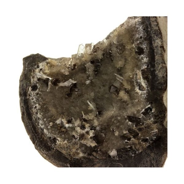 Sten og mineraler. Septaria, Diamond Quartz, Celestine. 1222,0 øre. Condorcet, Drôme, Frankrig.