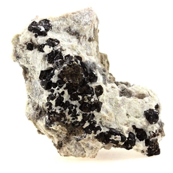 Kivet ja mineraalit - ABIJOUX - Dravite - 590,0 ct - Kipsilouhos, Arignac, Ariège, Ranska - Harvinainen