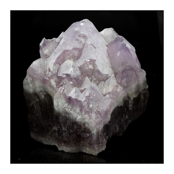 Amethyst - Naturlig Sten - 1272,5 ct - Lilla - Ægthedscertifikat - Dimensioner 67x64x55 mm