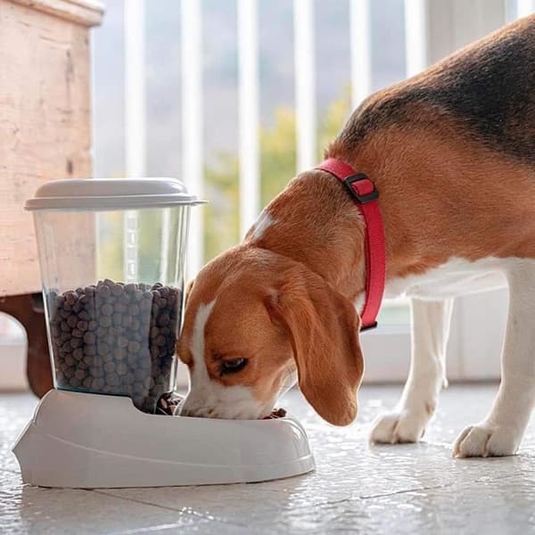 FERPLAST Foderdispenser Zenith 3L i plastik - 29,2x20,2x28,8 - Blå - Hund og kat Blå