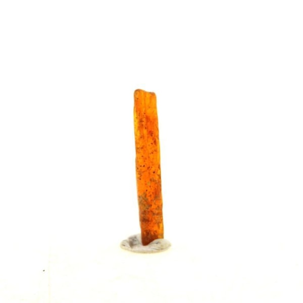 Kristall - ABIJOUX - Cyanit orange - 2.80 ct - 22 x 3 x 2 mm - Äkthetscertifikat Orange