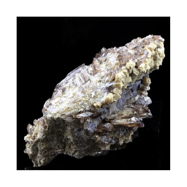Kivet ja mineraalit. Aksiniitti + prehniitti. 763,5 senttiä. Chamrousse, Belledonne, Isère, Ranska.