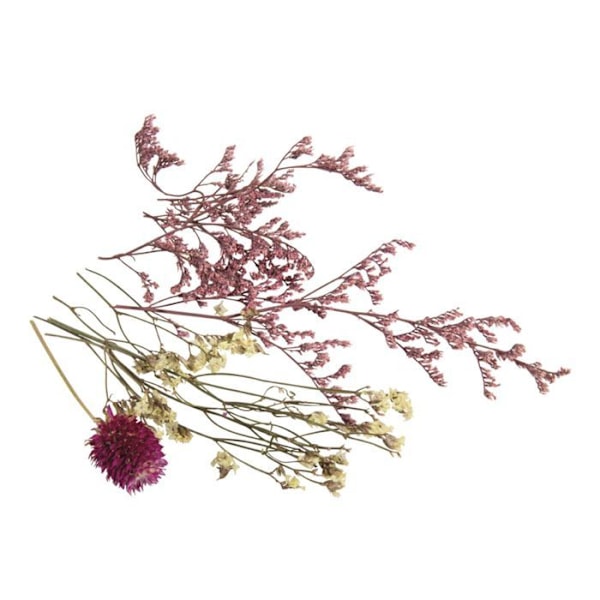 Buket med mini lyserøde tørrede blomster Flerfärgad
