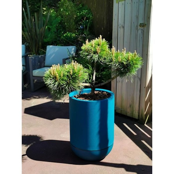 RIVIERA GRANIT TULIPE rund blomlåda - Plast - Diameter 40 cm - Blå