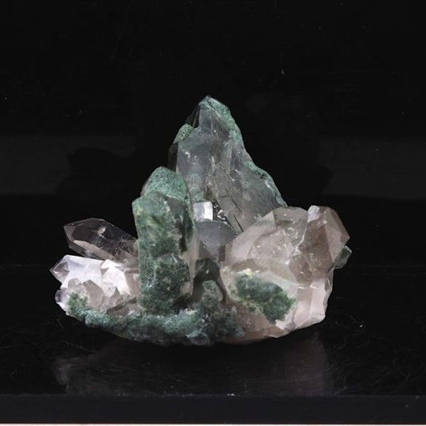 Sten og mineraler. Kvarts + Klorit. 106,20 øre. Rif Fournel, Freney d'Oisans, Isère, Frankrig.